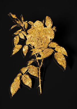 Gold Flora on Black