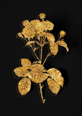 Gold Flower on Black