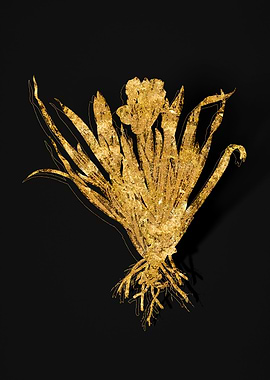 Gold Botanical on Black