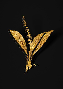 Gold Botanical on Black