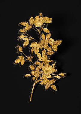 Gold Flora on Black