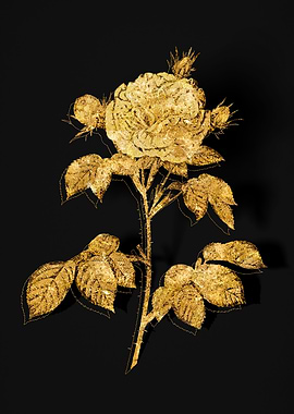 Gold Flower on Black