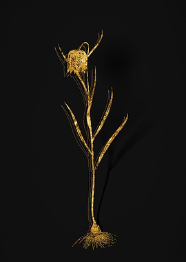Gold Botanical on Black