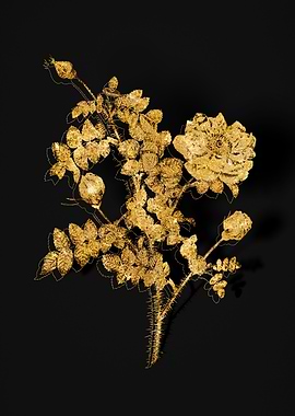 Gold Flower on Black