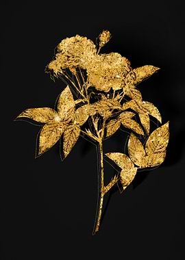 Gold Botanical on Black
