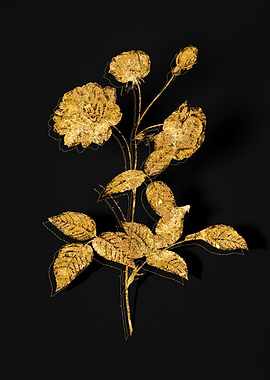 Gold Botanical on Black