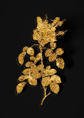 Gold Floral on Black