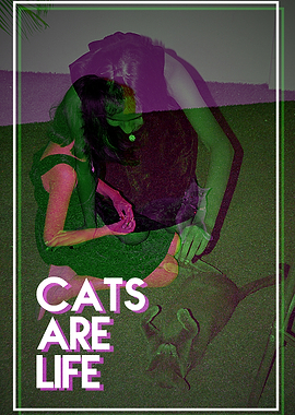 Cats are Life
