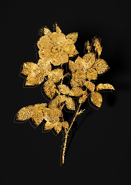 Gold Botanical on Black
