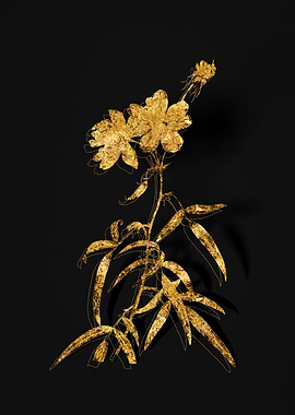 Gold Botanical on Black