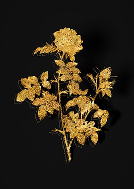 Gold Flower on Black