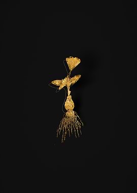 Gold Botanical on Black