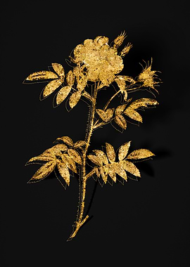 Gold Flora on Black