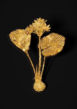 Gold Botanical on Black