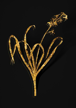 Gold Floral on Black