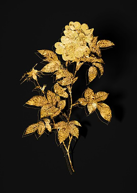 Gold Flower on Black