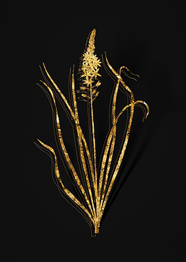 Gold Flower on Black