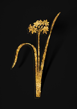 Gold Botanical on Black