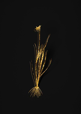 Gold Botanical on Black