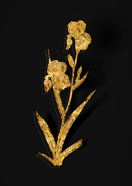 Gold Floral on Black