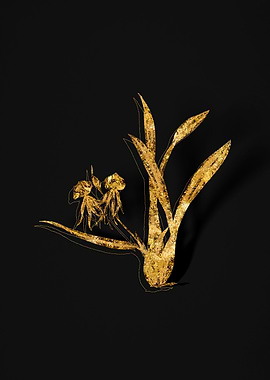 Gold Botanical on Black