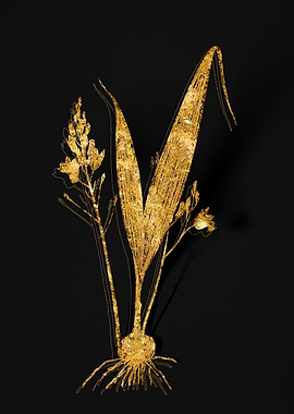 Gold Botanical on Black