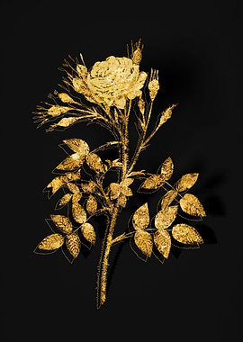 Gold Flower on Black