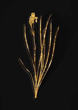 Gold Flower on Black