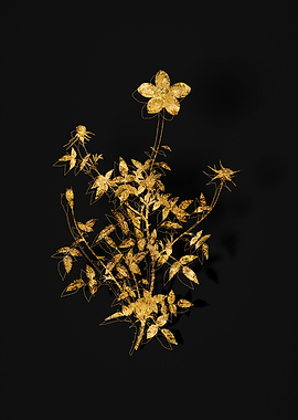 Gold Flower on Black