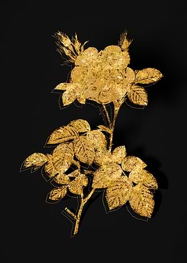 Gold Flower on Black