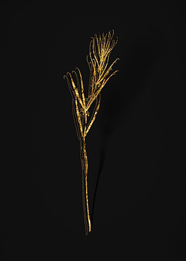 Gold Flower on Black