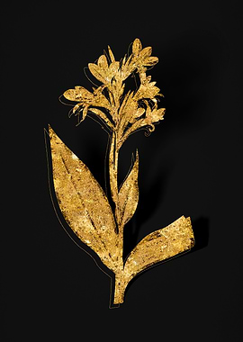 Gold Flower on Black