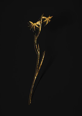 Gold Flower on Black