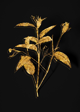 Gold Flora on Black