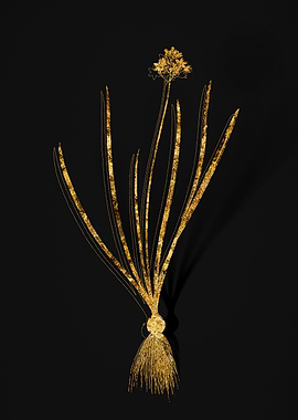 Gold Flower on Black