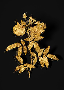 Gold Flower on Black