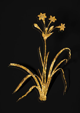 Gold Botanical on Black