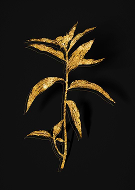 Gold Botanical on Black