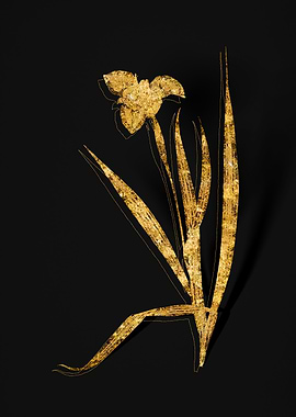 Gold Botanical on Black