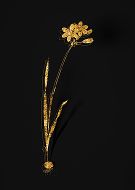 Gold Floral on Black