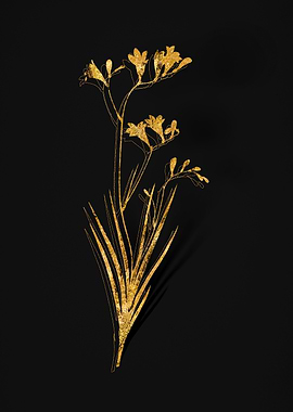 Gold Floral on Black