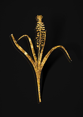 Gold Flower on Black