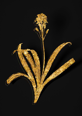 Gold Flower on Black