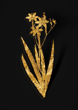 Gold Flora on Black