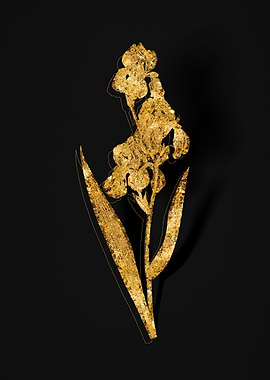 Gold Botanical on Black