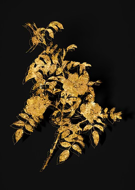 Gold Flower on Black