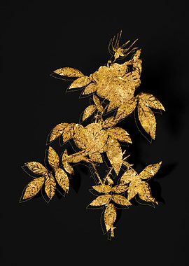 Gold Botanical on Black