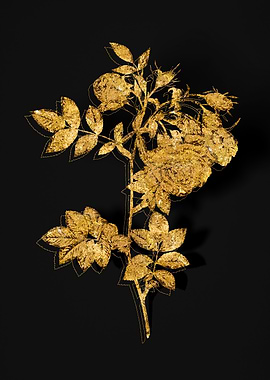 Gold Flower on Black