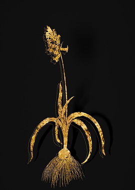 Gold Botanical on Black