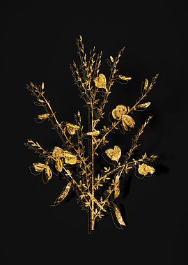 Gold Flower on Black